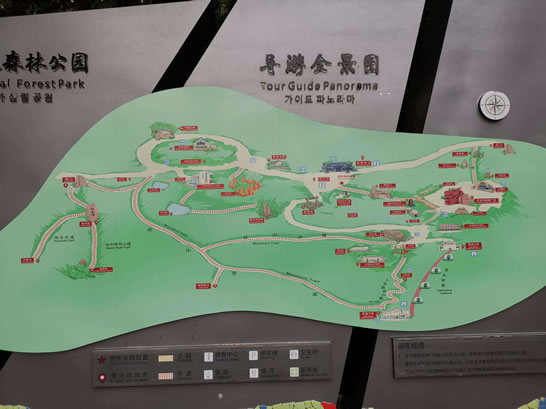 �蘷(l��)ɽ��(gu��)��ɭ�ֹ��@��(d��o)�[�D