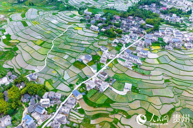 �����F�(y��ng)�л�Ϫ�^(q��)��������������W(w��ng)ӛ�� Ϳ���z