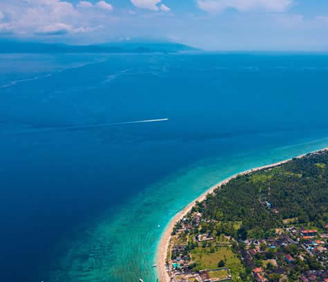 ӡ�����������ι��ԣ���ȫ��������Ⱥ�u����