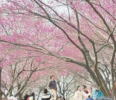 ���m(x��)��ů